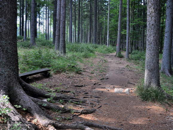 Rundweg zum Ort der letzten Schlacht des Pohorje-Bataillon
